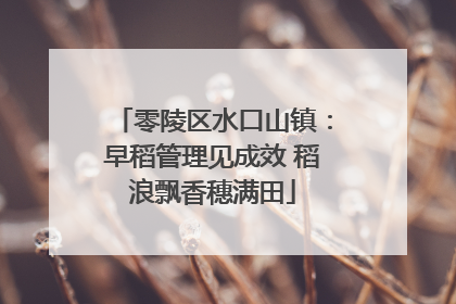 零陵区水口山镇：早稻管理见成效 稻浪飘香穗满田