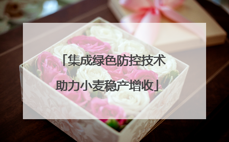 集成绿色防控技术助力小麦稳产增收