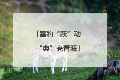 雪豹“跃”动 “典”亮青海