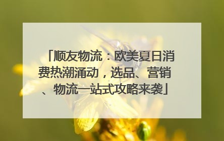 顺友物流：欧美夏日消费热潮涌动，选品、营销、物流一站式攻略来袭