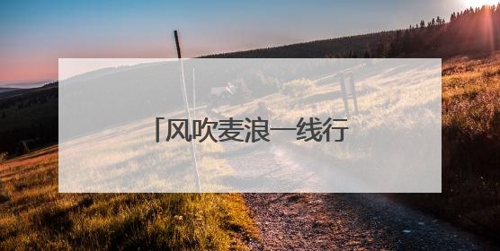 风吹麦浪一线行丨定州：土地托管带来稳产增收