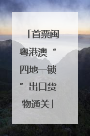 首票闽粤港澳“四地一锁”出口货物通关