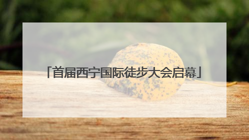 首届西宁国际徒步大会启幕