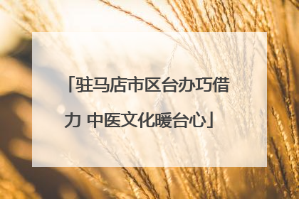 驻马店市区台办巧借力 中医文化暖台心