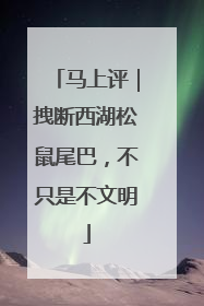 马上评｜拽断西湖松鼠尾巴，不只是不文明