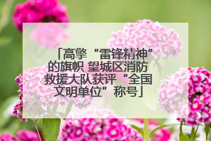 高擎“雷锋精神”的旗帜 望城区消防救援大队获评“全国文明单位”称号