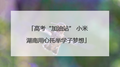 高考“加油站” 小米湖南用心托举学子梦想