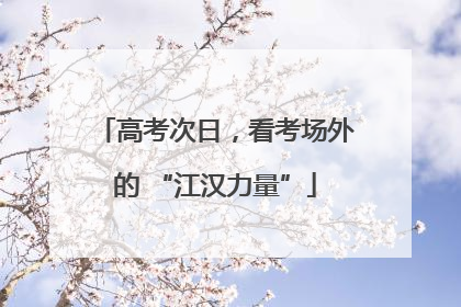 高考次日，看考场外的 “江汉力量”