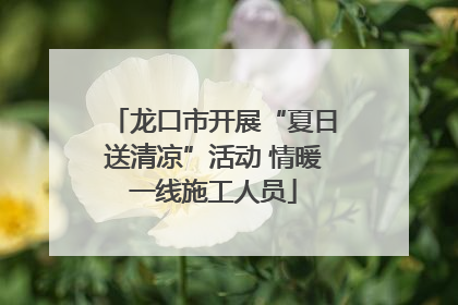 龙口市开展“夏日送清凉”活动 情暖一线施工人员