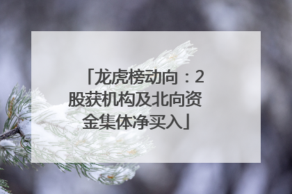 龙虎榜动向：2股获机构及北向资金集体净买入