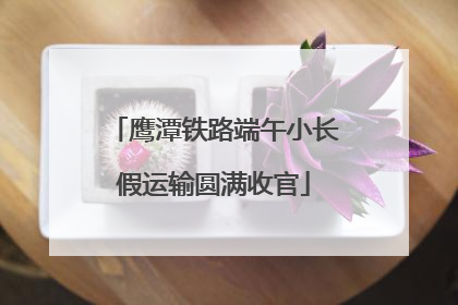 鹰潭铁路端午小长假运输圆满收官