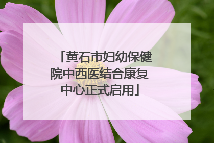 黄石市妇幼保健院中西医结合康复中心正式启用