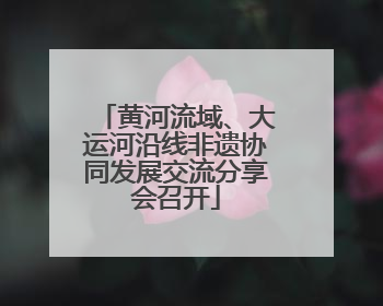 黄河流域、大运河沿线非遗协同发展交流分享会召开