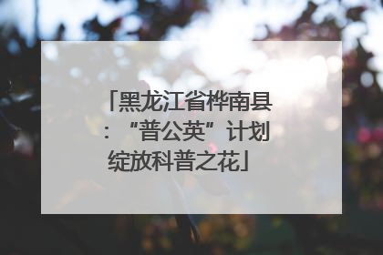 黑龙江省桦南县：“普公英”计划绽放科普之花