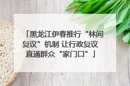 黑龙江伊春推行“林间复议”机制 让行政复议直通群众“家门口”