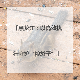 黑龙江：以高效执行守护“粮袋子”