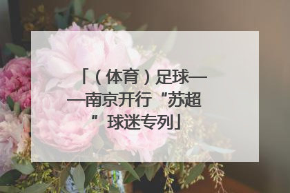（体育）足球——南京开行“苏超”球迷专列