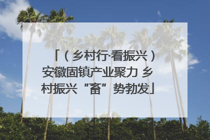 （乡村行·看振兴）安徽固镇产业聚力 乡村振兴“畜”势勃发