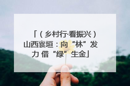 （乡村行·看振兴）山西襄垣：向“林”发力 借“绿”生金