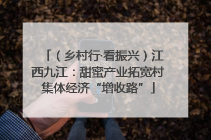 （乡村行·看振兴）江西九江：甜蜜产业拓宽村集体经济“增收路”