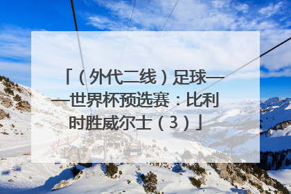 （外代二线）足球——世界杯预选赛：比利时胜威尔士（3）