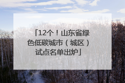 12个！山东省绿色低碳城市（城区）试点名单出炉