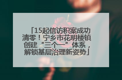 15起信访积案成功清零！宁乡市花明楼镇创建“三个一”体系，解锁基层治理新姿势