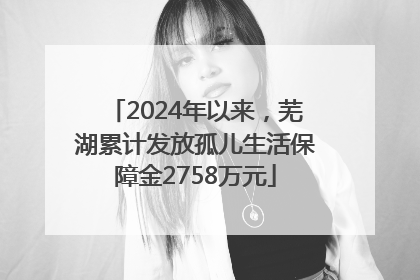 2024年以来，芜湖累计发放孤儿生活保障金2758万元
