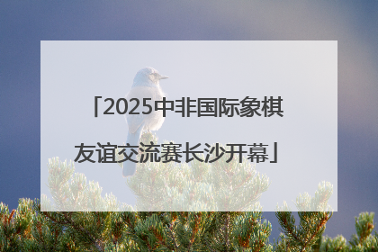 2025中非国际象棋友谊交流赛长沙开幕