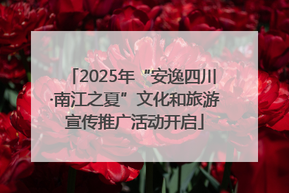 2025年“安逸四川·南江之夏”文化和旅游宣传推广活动开启