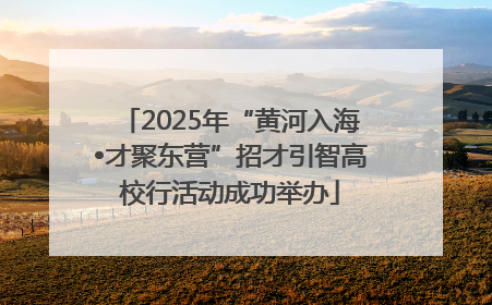 2025年“黄河入海•才聚东营”招才引智高校行活动成功举办