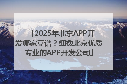 2025年北京APP开发哪家靠谱？细数北京优质专业的APP开发公司