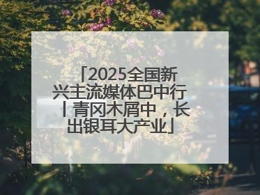 2025全国新兴主流媒体巴中行丨青冈木屑中，长出银耳大产业