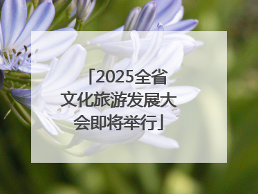 2025全省文化旅游发展大会即将举行