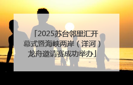 2025苏台邻里汇开幕式暨海峡两岸（洋河）龙舟邀请赛成功举办
