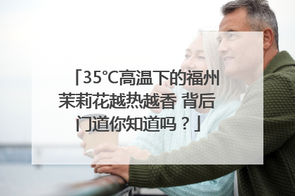 35℃高温下的福州茉莉花越热越香 背后门道你知道吗？