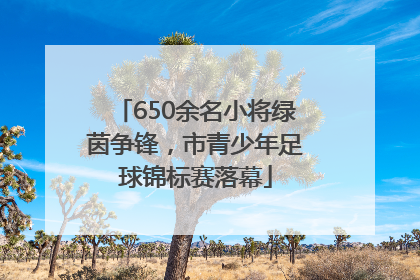 650余名小将绿茵争锋，市青少年足球锦标赛落幕