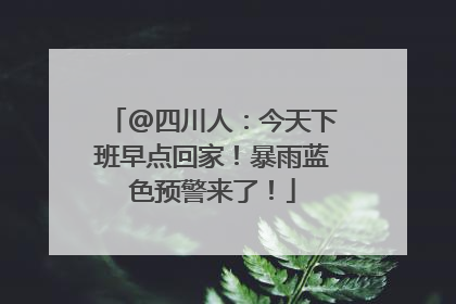 @四川人：今天下班早点回家！暴雨蓝色预警来了！
