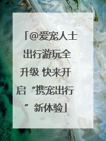 @爱宠人士 出行游玩全升级 快来开启“携宠出行”新体验