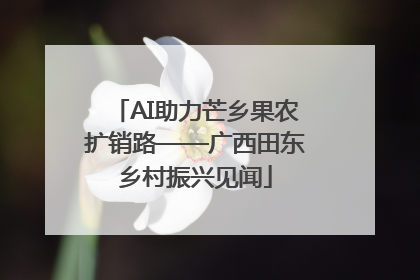 AI助力芒乡果农扩销路——广西田东乡村振兴见闻