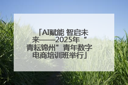 AI赋能 智启未来——2025年“青耘锦州”青年数字电商培训班举行