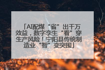 AI配煤“省”出千万效益，数字孪生“看”穿生产风险！宁阳县传统制造业“智”变突围