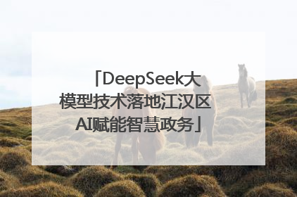 DeepSeek大模型技术落地江汉区 AI赋能智慧政务